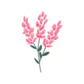 Fleur - Budget Planner App