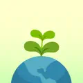 Flora - Green Focus app icon