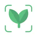 Free Plant Identifier