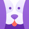 GoDog: Puppy & Dog Training app icon