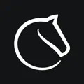 Lichess app icon
