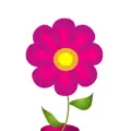 Period Tracker by GP Apps app icon