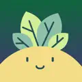 Plant Identifier, Care: Planty