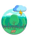 RainSound in Forest app icon