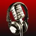 Voice Record Pro app icon