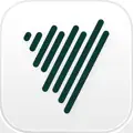 Voicenotes AI Notes & Meetings