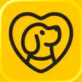 Woofz - Puppy and Dog Training
